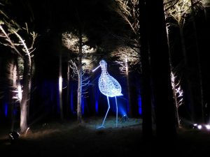 fjoertoer 2017 wandelevenement terschgelling Hallo Terschelling