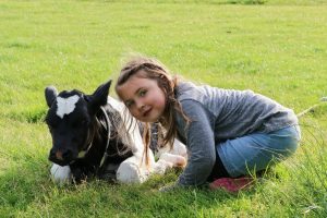 Kalfjes aaien kinderboerderij Het Hooivak Hallo Terschelling