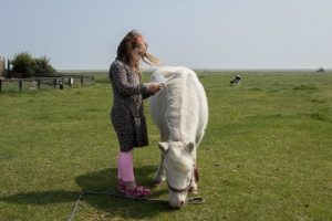 Pony aaien Kinderboerderij Het Hooivak Hallo Terschelling