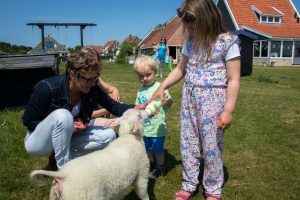 geitjes de fles geven bij het Hooivak Hallo Terschelling