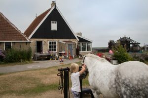 ponyrijden bij het Hooivak Hallo Terschelling