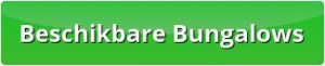 button_beschikbare-bungalows op Terschelling | Hallo Terschelling