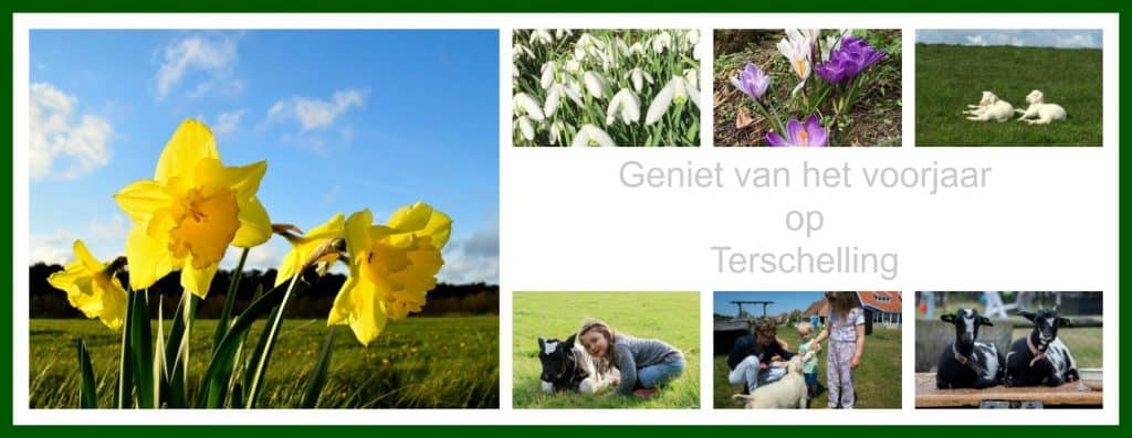 Voorjaarsvakantie 2018 – Hallo-Terschelling