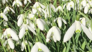 Voorjaarsvakantie op Terschelling - Hallo Terschelling