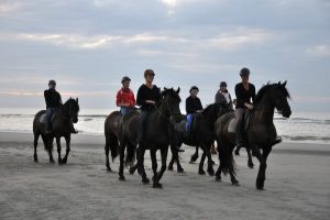 strandritten te paard bij Puur Terschelling Hallo Terschelling