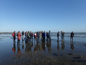 Wadlopen met Puur Terschelling | Hallo Terschelling