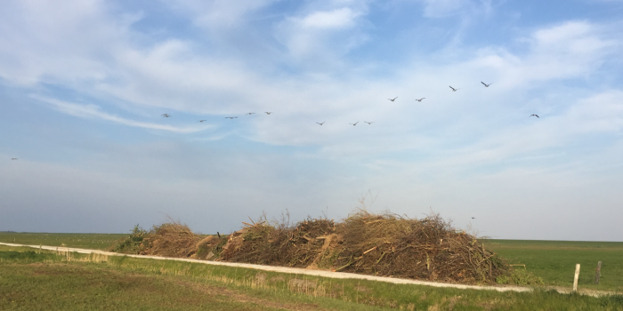 Meivuur op terschelling | Hallo Terschelling