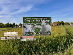 Dag van het Schaap op Terschelling met evenementenbord langs de weg