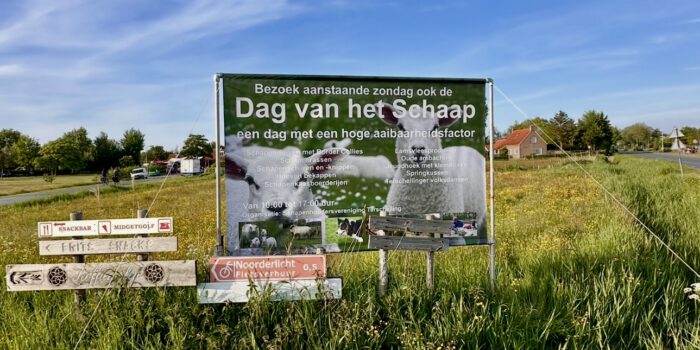 Dag van het Schaap Terschelling 2026