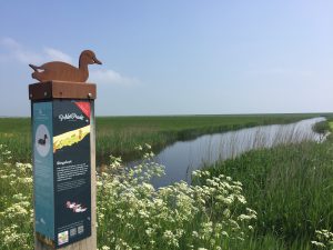 polderpracht fietsroute op Terschelling - Hallo Terschelling