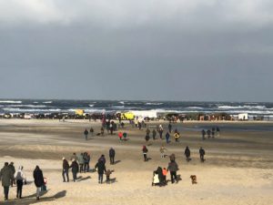 Nieuwjaarsduik op Terschelling - Hallo Terschelling