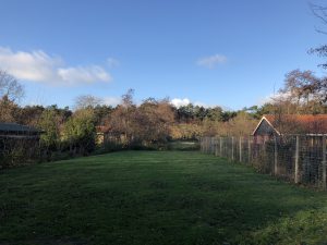 uitzicht tuin vanuit de keuken familiehuis Roodkapje - Hallo Terschelling