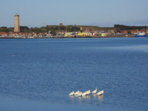 Uitzicht over West Terschelling - Hallo Terschelling