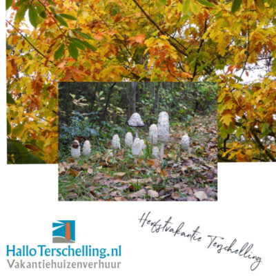 Herfstvakantie op Terschelling - Hallo Terschelling vakantiehuizen