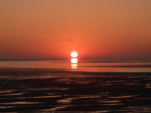 Zonsopgang op Terschelling - Hallo Terschelling