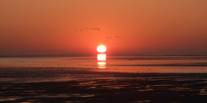 Zonsopgang op Terschelling – Hallo Terschelling