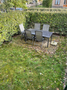 Veilige Nest op Terschelling - Hallo Terschelling