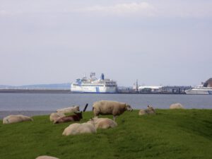 De Akker op Terschelling boot waddendijk
