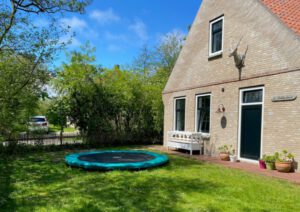 Bokkedoorn op Terschelling - Hallo Terschelling