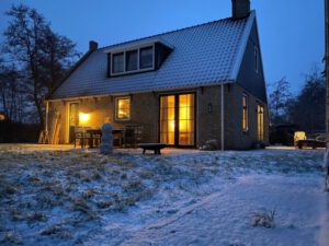 Bokkedoorn op Terschelling - Hallo Terschelling