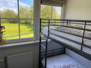 Bokkedoorn op Terschelling - Hallo Terschelling