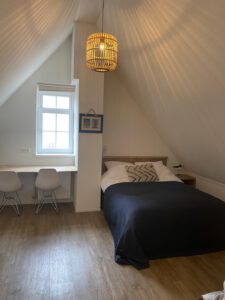 Bokkedoorn op Terschelling - Hallo Terschelling