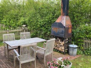 Bokkedoorn op Terschelling - Hallo Terschelling