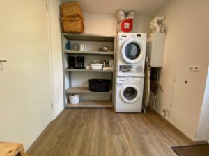 Bokkedoorn op Terschelling - Hallo Terschelling