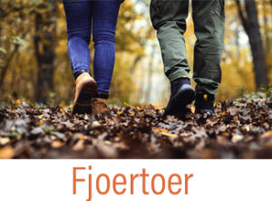 Fjoertoer op Terschelling - vakantiehuren tijdens de Fjoertoer op Terschelling - Hallo Terschelling