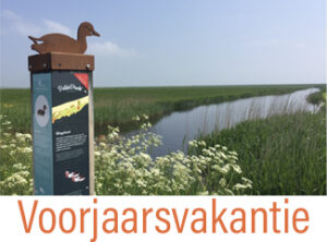 Voorjaarsvakantie op Terschelling - Vakantiehuis huren in het voorjaar - Hallo Terschelling