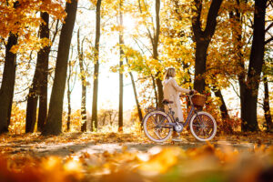 activiteiten herfstvakantie Terschelling 2026 fietsen strand