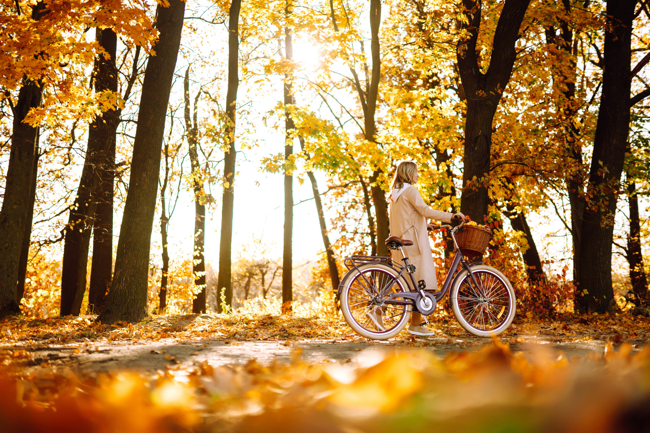 activiteiten herfstvakantie Terschelling 2026 fietsen strand