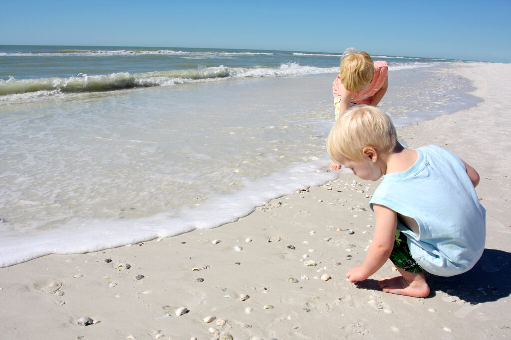 schelpen zoeken op het strand