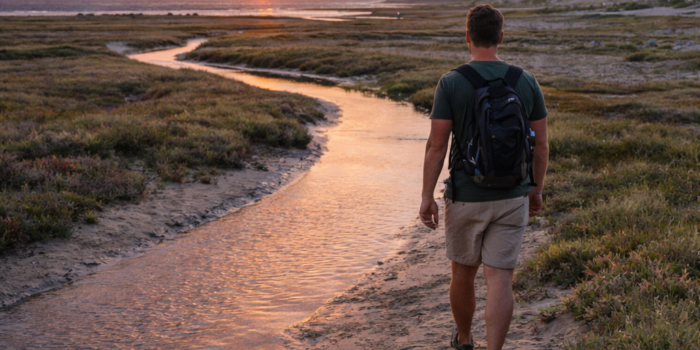 de-boschplaat-alles-wat-je-moet-weten