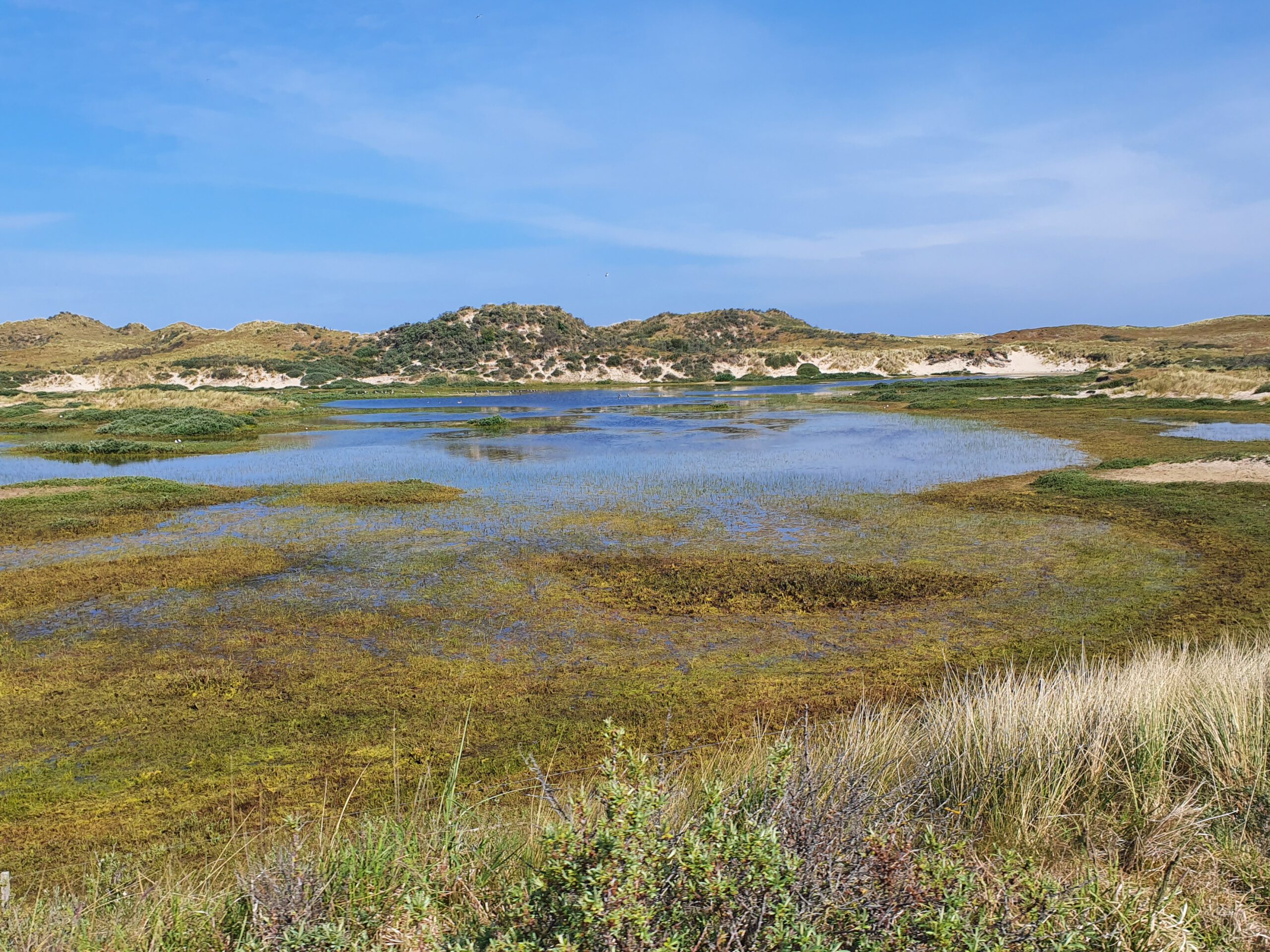 lastminute terschelling fietsen wandelen duinen
