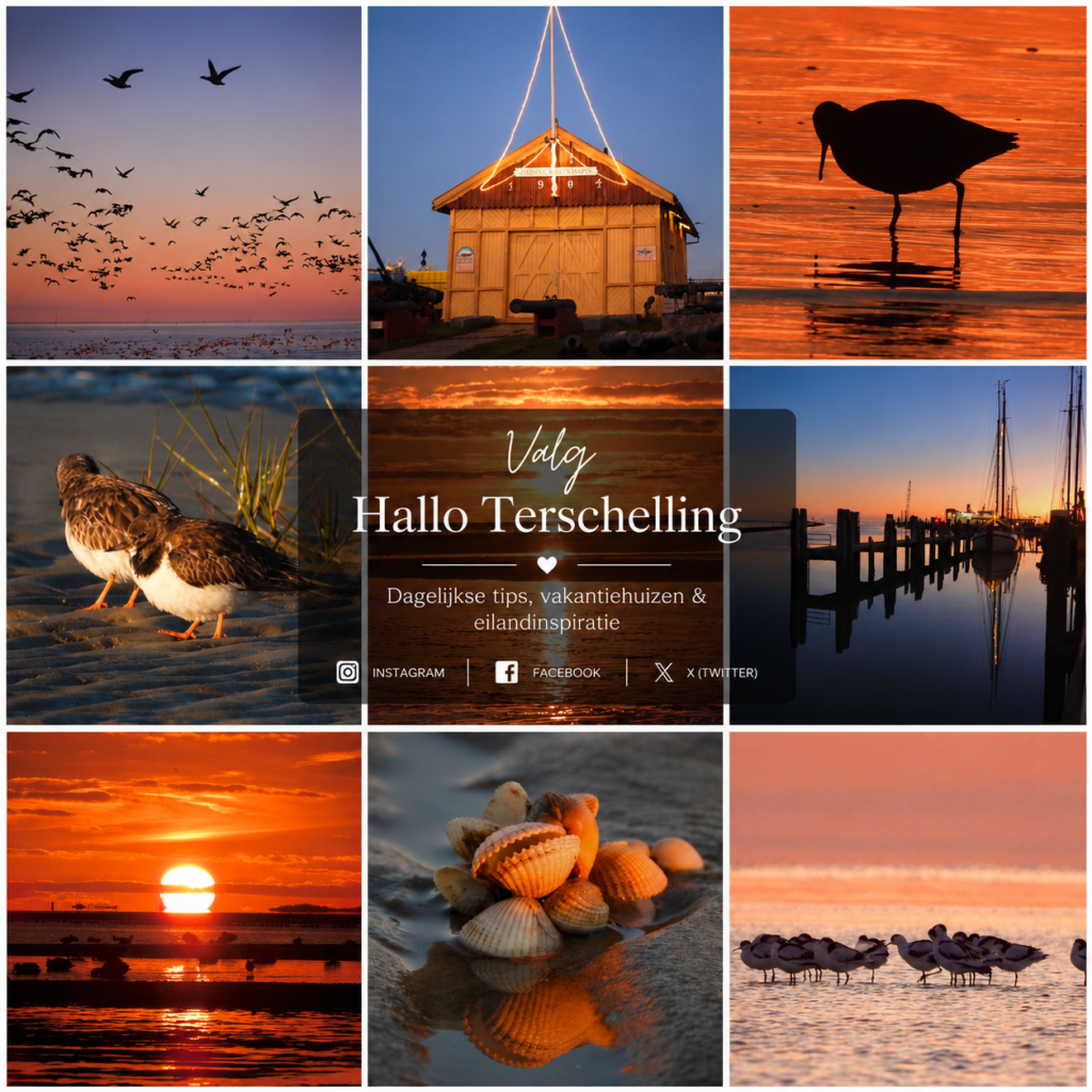Terschelling tips & inspiratie