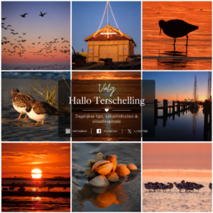 Collage met strand, zonsondergang, haven en sfeerbeelden van Terschelling met dagelijkse inspiratie van Hallo Terschelling