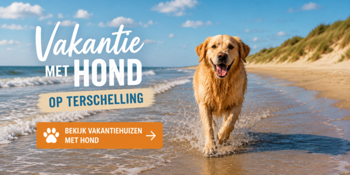 Vakantie met hond op Terschelling – hondvriendelijke vakantiehuizen huren
